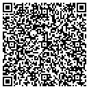 QR code with Public Works contacts