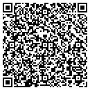 QR code with Blue Danube Software contacts