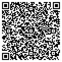 QR code with Nibesa contacts