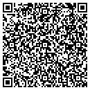 QR code with Brian R De Gise DDS contacts