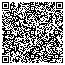 QR code with Protect Systems contacts