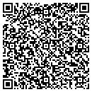 QR code with Cicero Public Library contacts