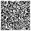 QR code with Carver Branch Library contacts