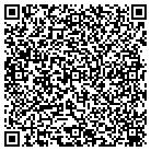 QR code with Babcock Power Sales Inc contacts