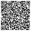 QR code with Mrt contacts