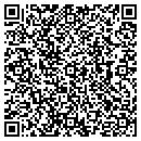 QR code with Blue Sky Ice contacts