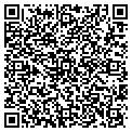 QR code with BACHOR contacts