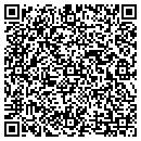 QR code with Precision Auto Wash contacts