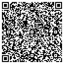 QR code with Ballpark At Roselle contacts