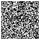 QR code with Cawley Consulting Inc contacts