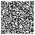 QR code with Pitco contacts