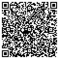QR code with Zephyr contacts