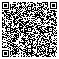 QR code with Devine contacts
