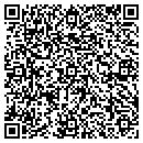 QR code with Chicagoland Sports & contacts