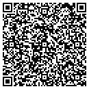 QR code with Professionalink LLC contacts