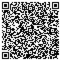 QR code with Amoreys contacts