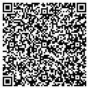 QR code with Carpet Fashions Inc contacts