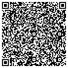 QR code with Sun N Fun Pool & Spa Inc contacts