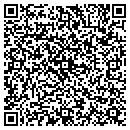 QR code with Pro Patch Systems Inc contacts