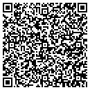 QR code with Brinkley Exxon Shop contacts