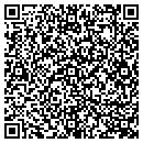 QR code with Preferred Systems contacts