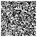 QR code with Public Works contacts