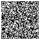 QR code with Biostrategies Group contacts