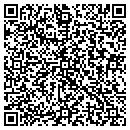 QR code with Pundit Systems Corp contacts