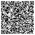 QR code with Meltec contacts