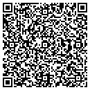 QR code with Publicis Inc contacts