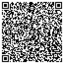QR code with Blue Barn Automotive contacts
