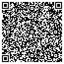 QR code with BVR Technologies Co contacts