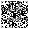 QR code with V F W contacts