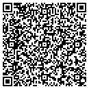 QR code with Controls & Power Inc contacts
