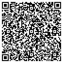 QR code with Carlin Automation Inc contacts