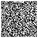 QR code with Cairo Regional Airport contacts