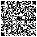 QR code with Precision Painting contacts