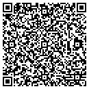 QR code with Premier Steam Cleaning contacts