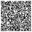 QR code with Puschmobil contacts