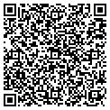 QR code with Estilo contacts