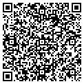 QR code with Island Cafe Inc contacts