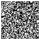 QR code with Pyramid Design contacts