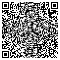 QR code with Digital Store contacts