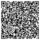 QR code with Psychic Vision contacts