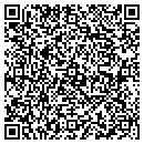 QR code with Primera Electric contacts