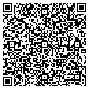 QR code with Cv Tax Service contacts