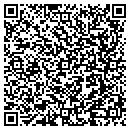 QR code with Pyzik Masonry Inc contacts