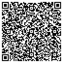 QR code with Cicero Public Library contacts