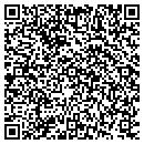 QR code with Pyatt Brothers contacts