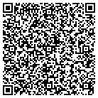 QR code with Cipher Consulting Group contacts